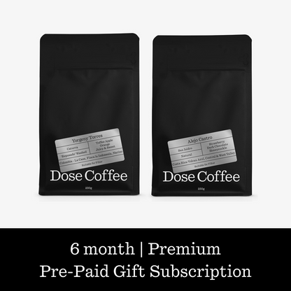 6-Month Subscription