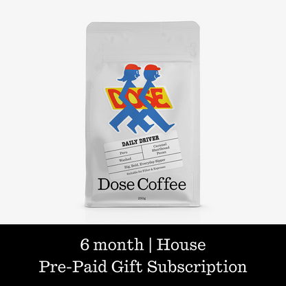 6-Month Subscription