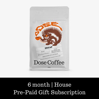 6-Month Subscription