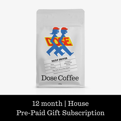 12-Month Subscription